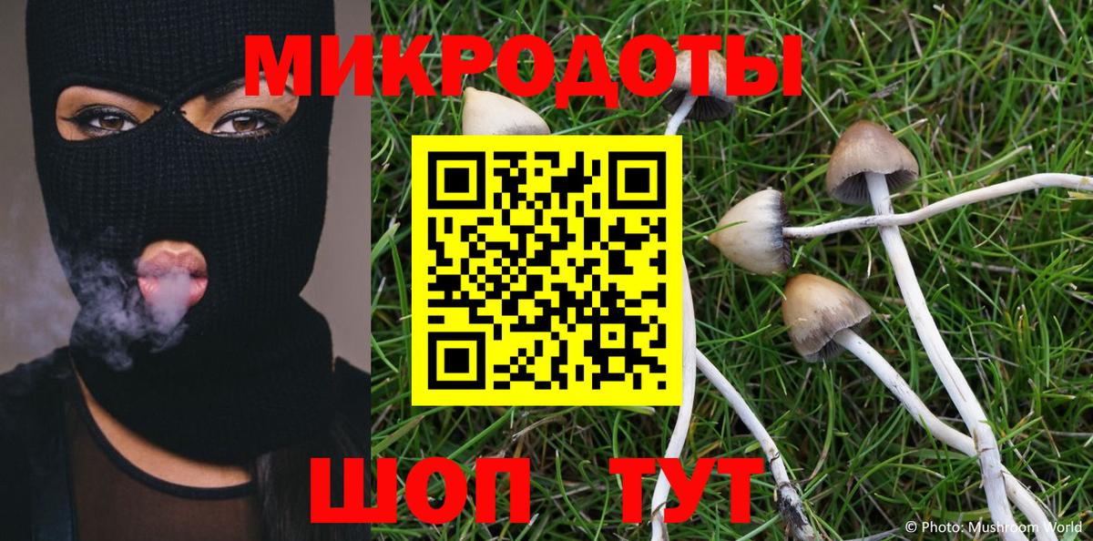 Павловский Посад  Псилоцибиновые грибы мицелий  Вход с VPN 