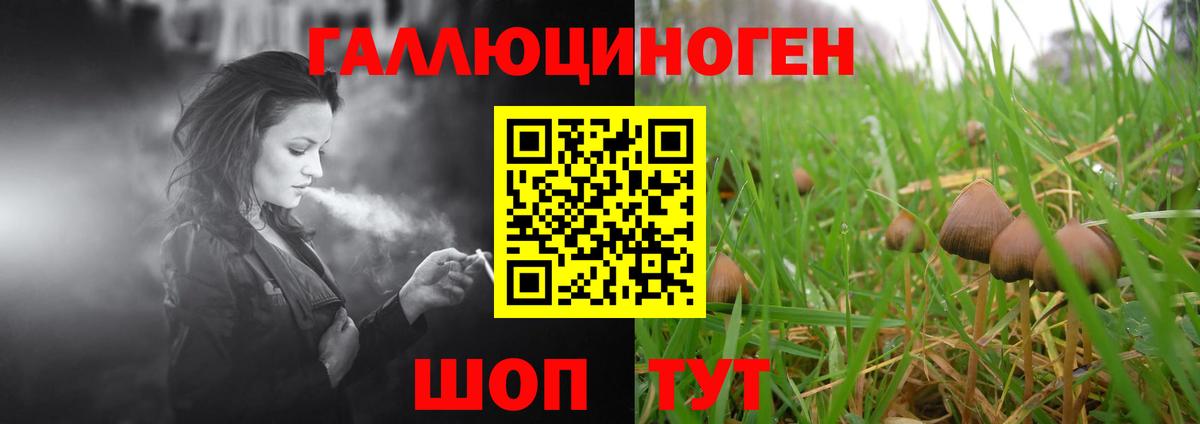 Псилоцибиновые грибы Psilocybine cubensis Павловский Посад